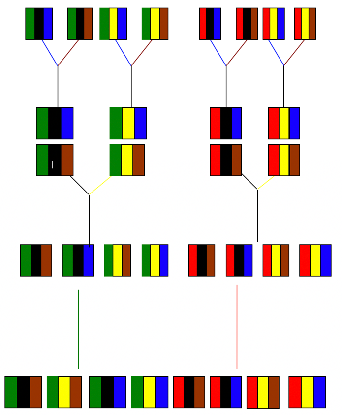 løsning diagram