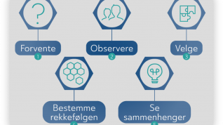 Fem praksiser illustrasjon