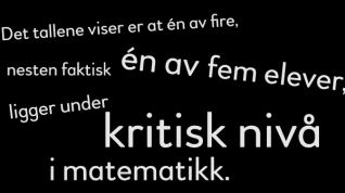 Teksten: Det tallene viser er at én av fire, nesten faktisk én av fem elever, ligger under kritisk nivå i matematikk